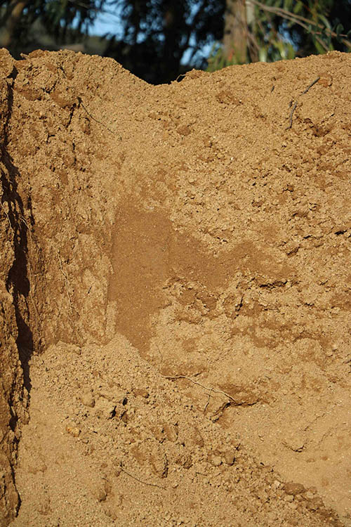 Exploitation de graviers et de sables Calenzana